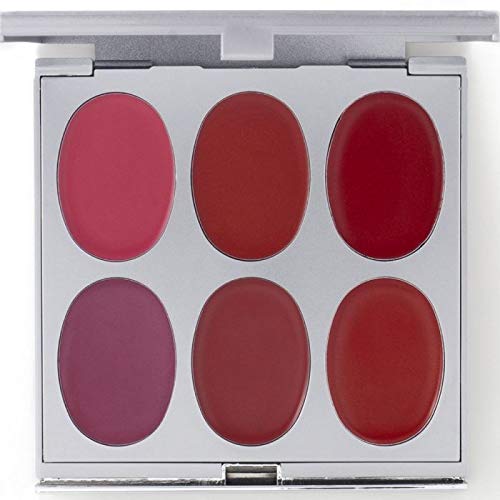 Jerome Alexander New Again Lipstick Palette & Retractable Brush, 6 Hot-Poured, Buildable & Blendable Smooth Matte Shades (Exciting Look)