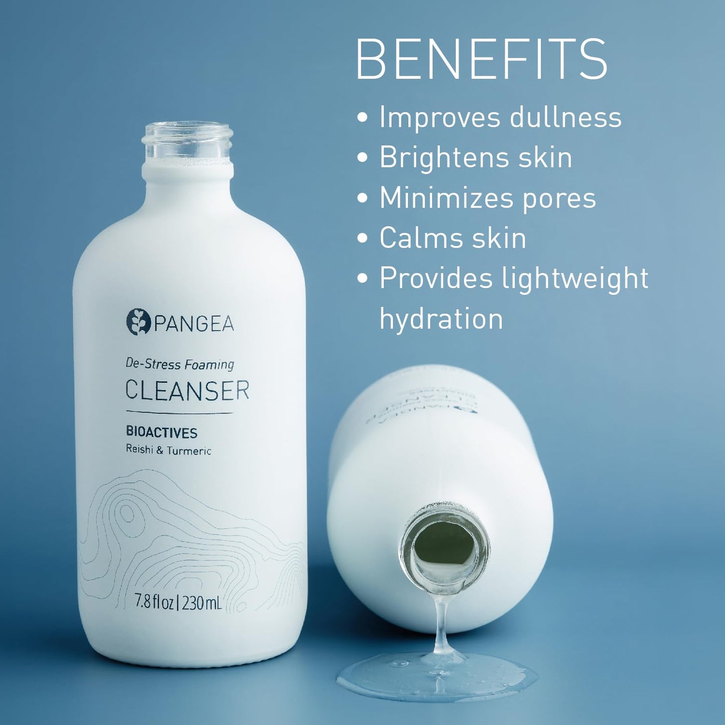 Pangea Organics Natural Reishi + Turmeric De-Stress Foaming Facial Cleanser | Vegan, Non-Toxic, Gentle & Hydrating | Sustainable Glass Bottle (7.8 fl oz | 230 ml)