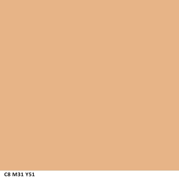 COVERGIRL Ready Set Gorgeous Fresh Complexion Concealer Medium/Deep 305/310, 37 oz (packaging may vary) (Pack of 2)