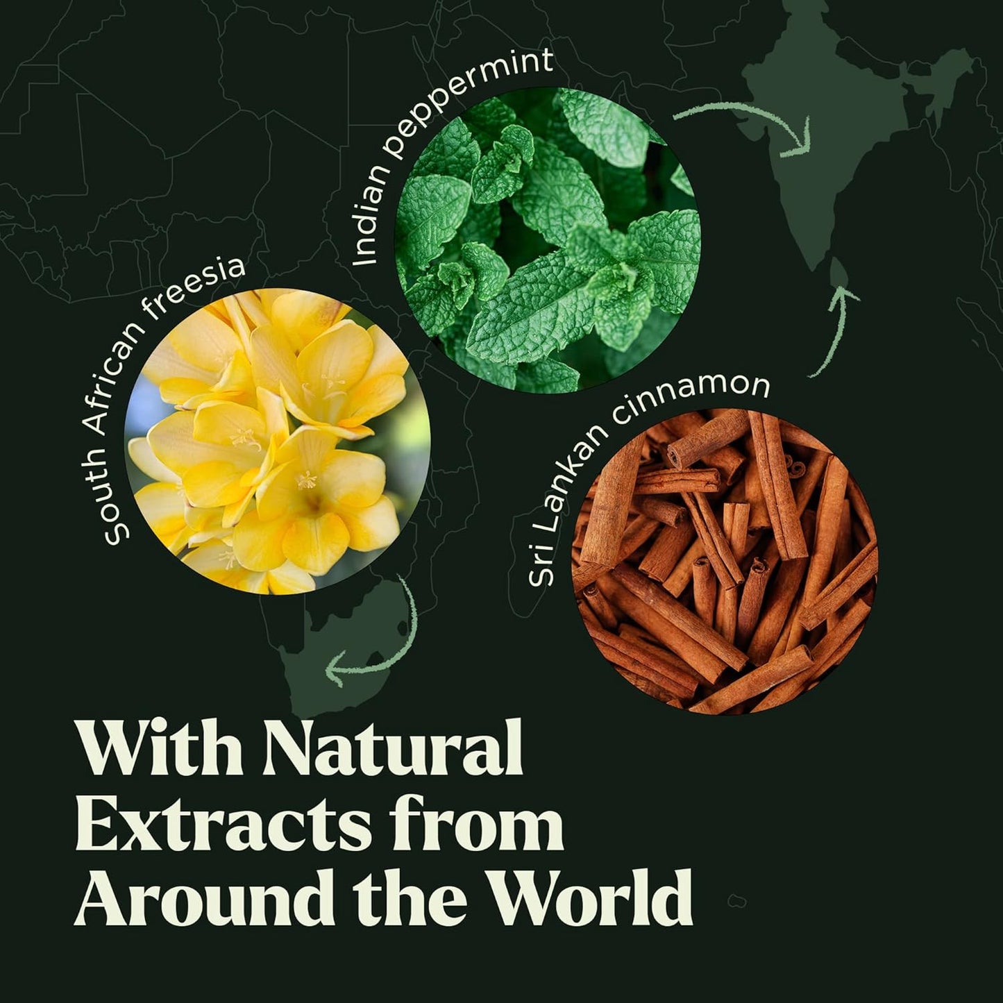 Lagunamoon Fragrance Oil Collection - Premium 16 Piece Gift Set for Diffusers, DIY Candle Making Supplies, Soap Scents, Slime - Aromatherapy Essential Oil Set for Home, Office, Car & Yoga Room