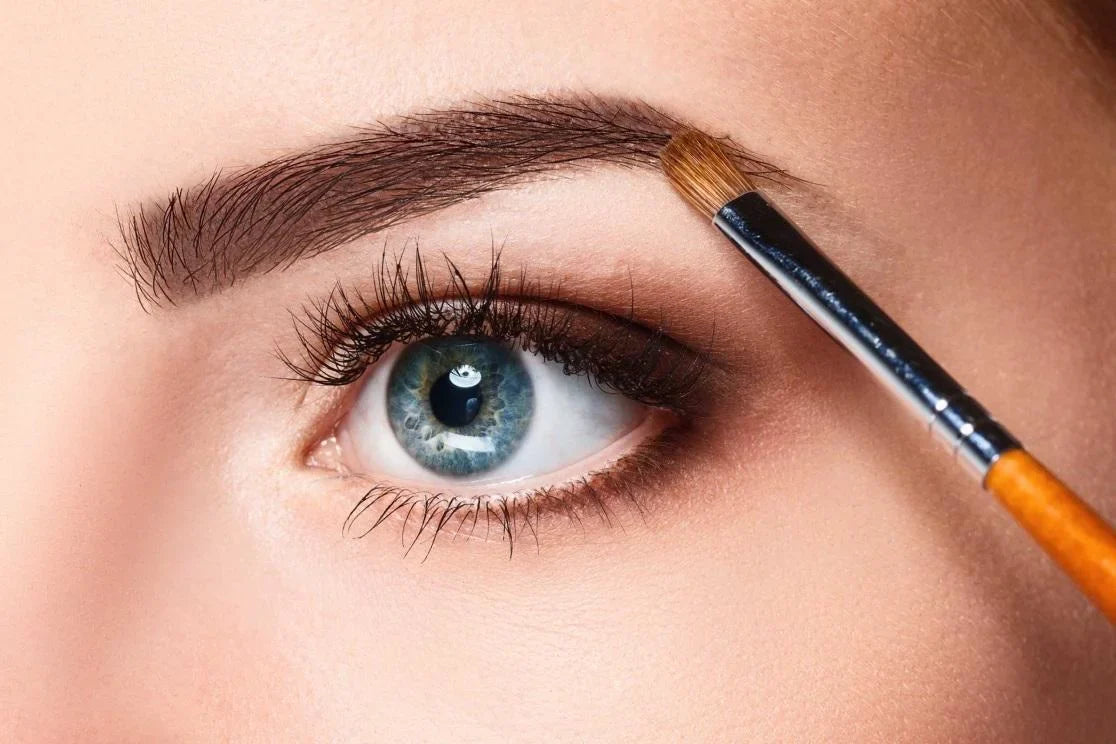 Eyes & Brows