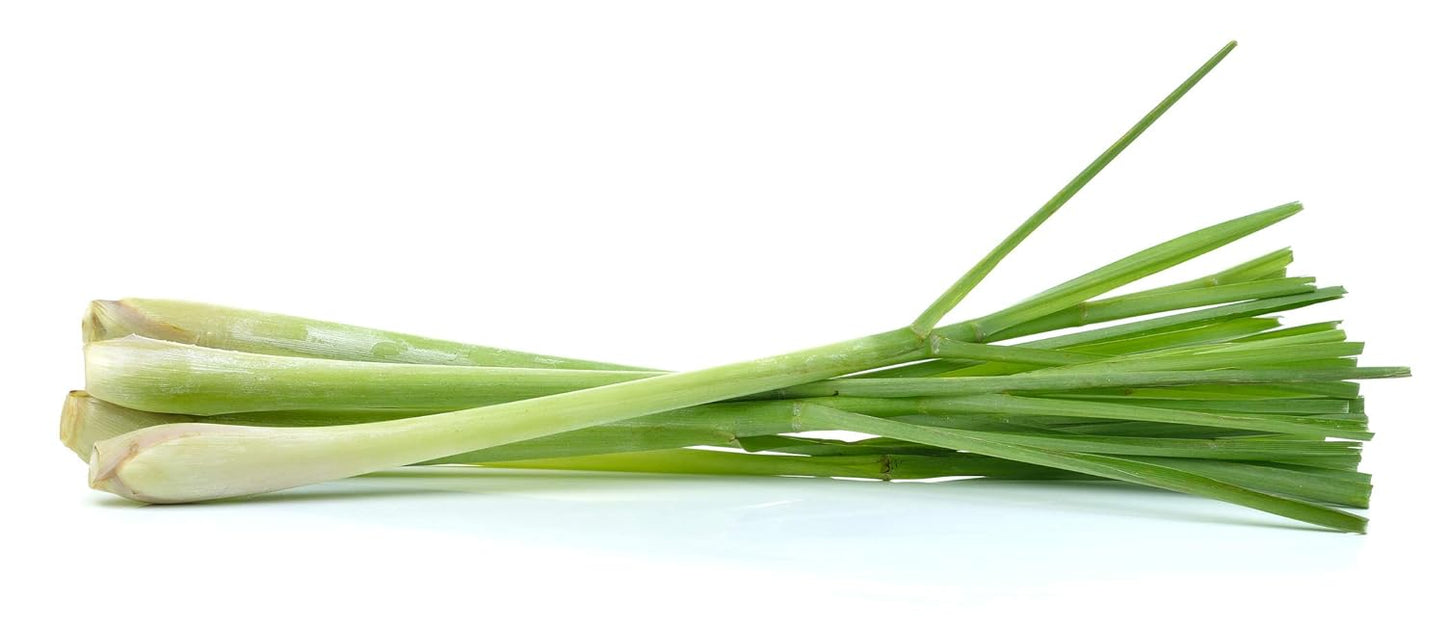 US Organic 100% Pure Lemongrass Essential Oil, USDA Certified Organic, Extracted by Steam Distillation Method, for Hair, Nail Polish Remover, Bees Attraction, and More. 30 ml