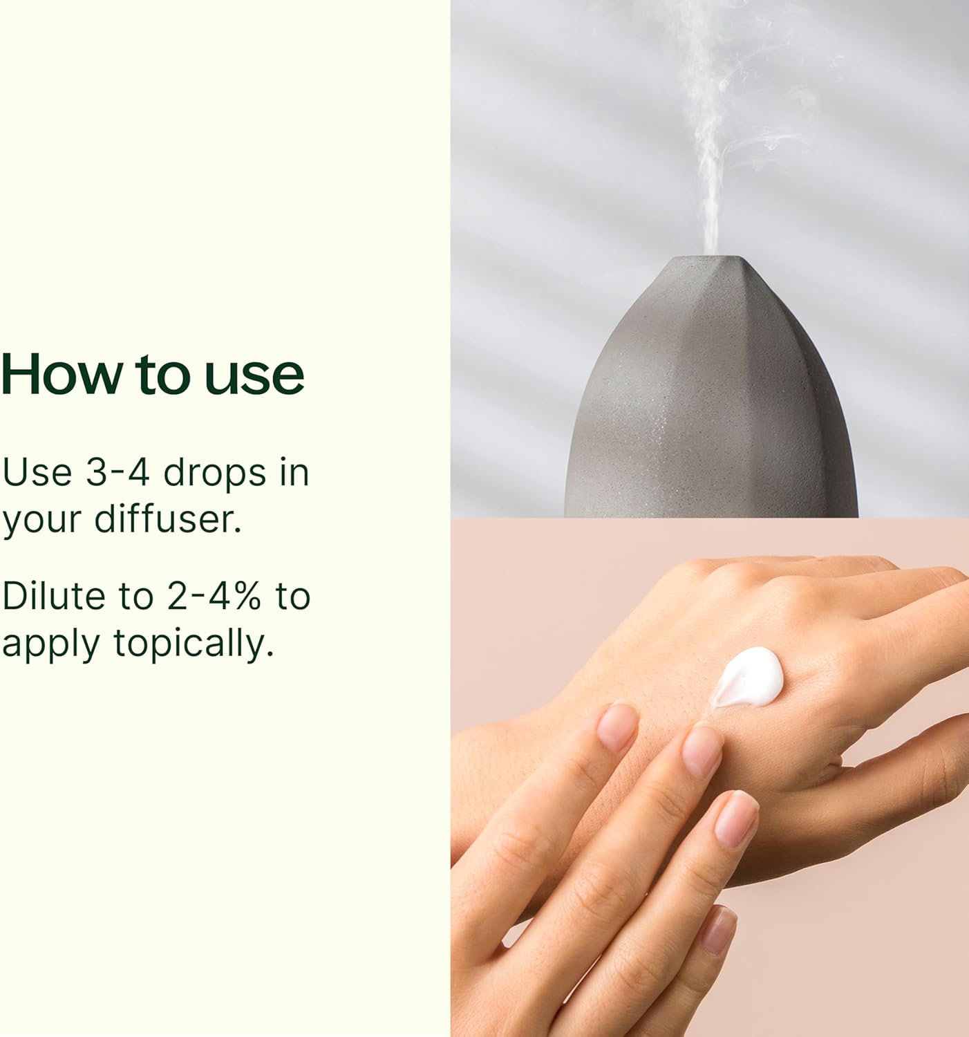 Plant Therapy Be Confident Essential Oil Blend 10 mL (1/3 oz) 100% Pure, Undiluted, Natural Aromatherapy