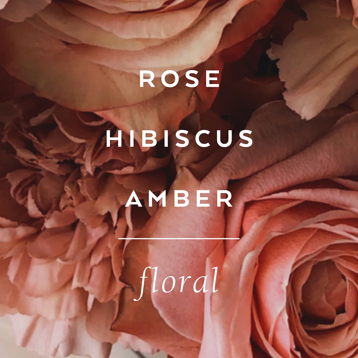 LOLLIA Always in Rose Dry Body Oil, 6.8 Fl. Oz. – Rose & Hibiscus – Women’s, Scented, Moisturizing, Dry Body Oil for Women, For All Skin Types