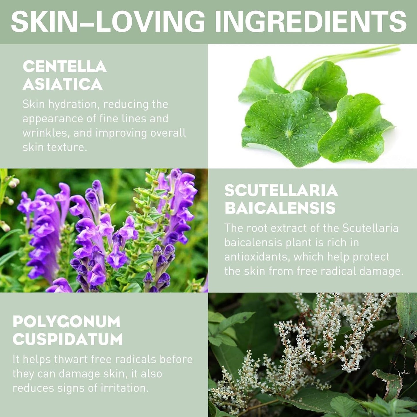 UCANBE Liquid Concealer Stick, Conceals, Covers, Highlights, Medium to Full Coverage Hydrating Color Corrector Face Makeup for Under Eye Dark Circles, Redness, Dullness, Fine Lines - Fair -0.3 Fl.oz