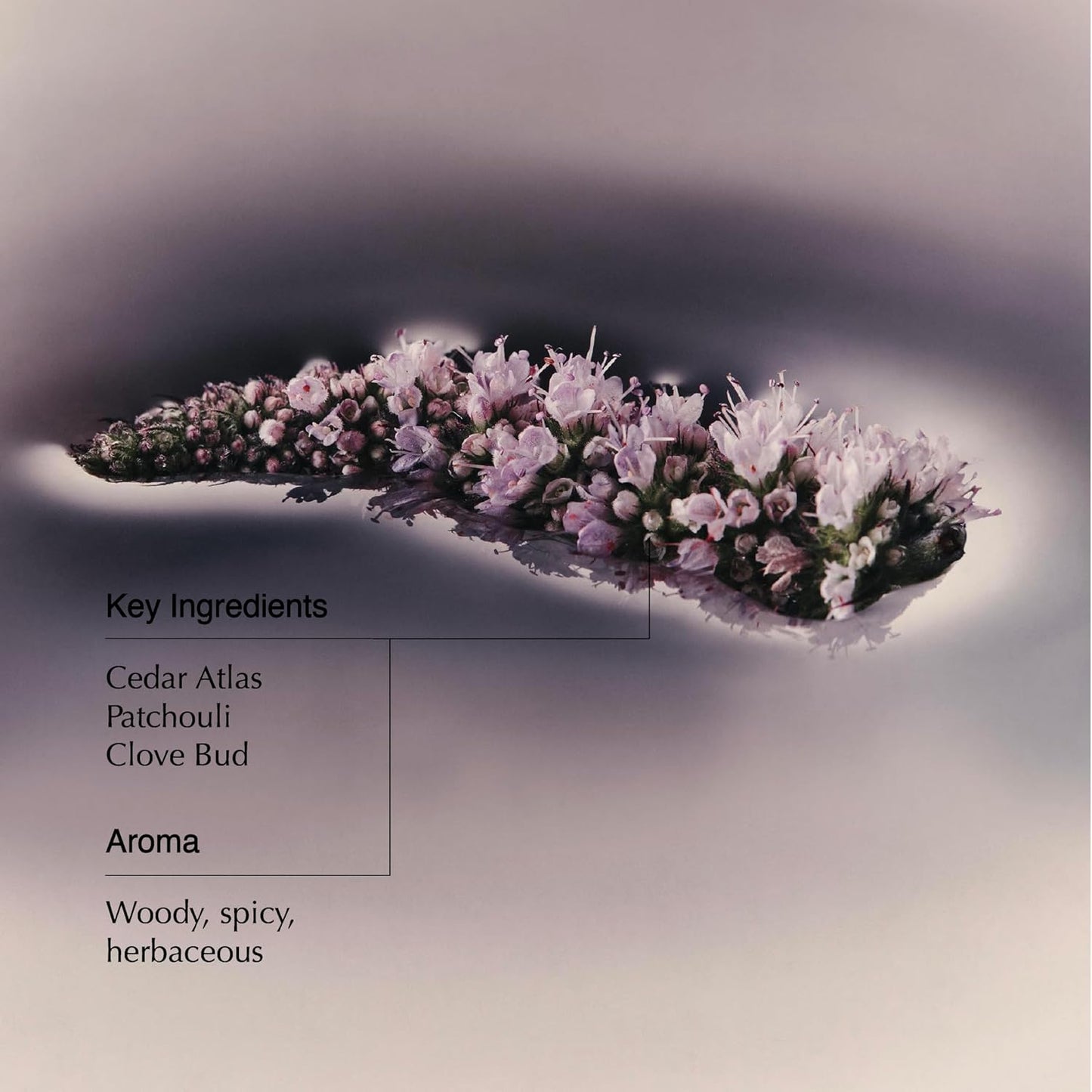 Aesop Eleos Nourishing Body Cleanser | Hydrating Ingredients For Refreshed, Soft Skin | Enriched With Emollients, Humectants, Purifying Botanicals | 500mL / 16.9oz (Pack of 3)