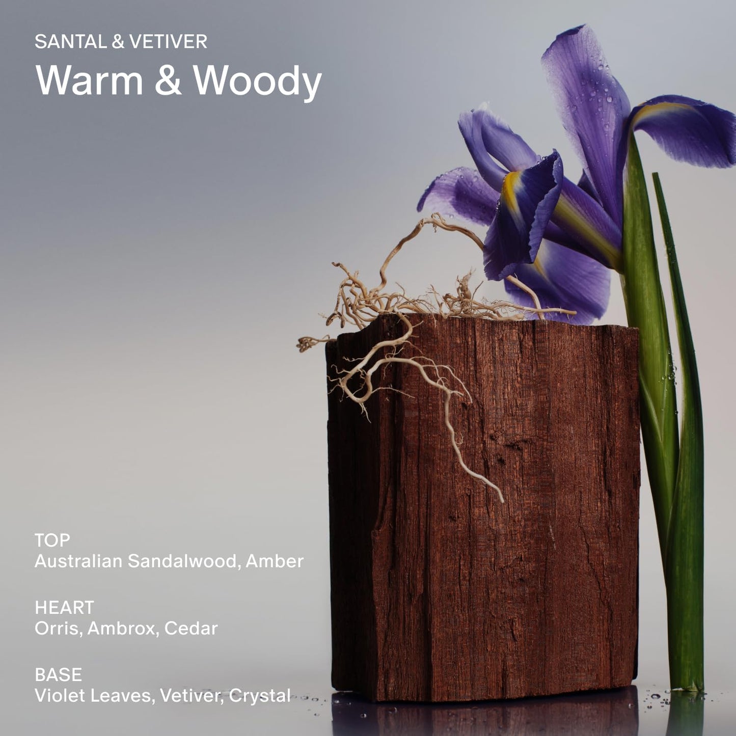 Salt & Stone Antioxidant-Rich Body Wash - Santal & Vetiver | Cleanse, Nourish & Soften Skin with Niacinamide & Hyaluronic Acid | Free From Parabens, Sulfates & Phthalates (15.2 fl oz)