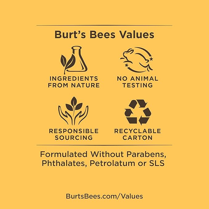Burt's Bees 100% Natural Origin Moisturizing Lip Balm, Cucumber Mint with Beeswax, 4 Tubes