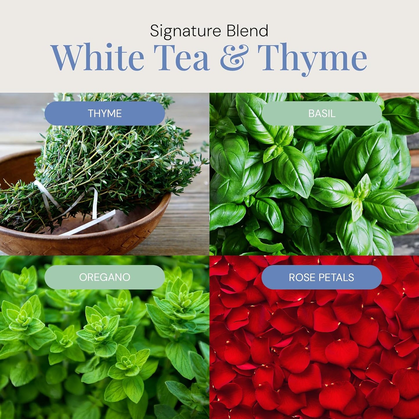 White Tea & Thyme Aroma Oil, Essential Oils Blend for Diffusers & Scent Machines, Rose Petals, Thyme & Balsam, Aromatherapy, Cold Air Diffuser Compatible, 100 mL